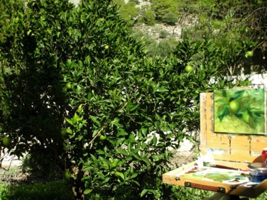 Painting Citrus<br>
Greece, 2006