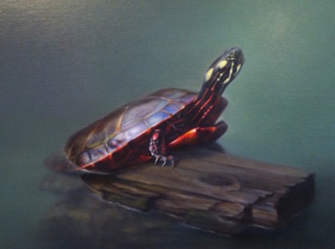 Painted Turtle
11" x 14"  SOLD