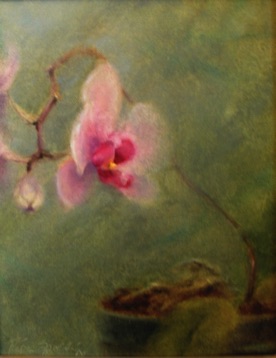 Orchids at the IMA
8" x 10"    SOLD