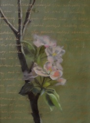 Apple-Blossom Time
Booth Tarkington;  SOLD