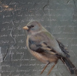 Little Junco
6" x 6"   SOLD