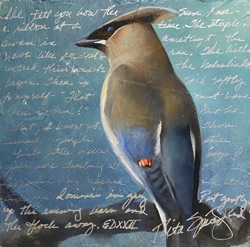 Cedar Waxwing
6" x 6"  SOLD